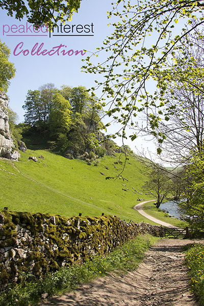 Path to Wolfscotedale, A6 postcard