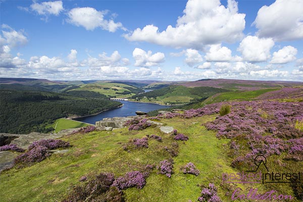 Bamford Edge In Late Summer, 5