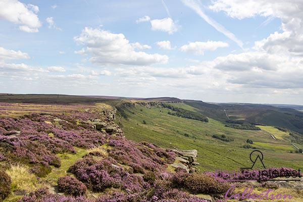 Stanage Edge in Late Summer, 5