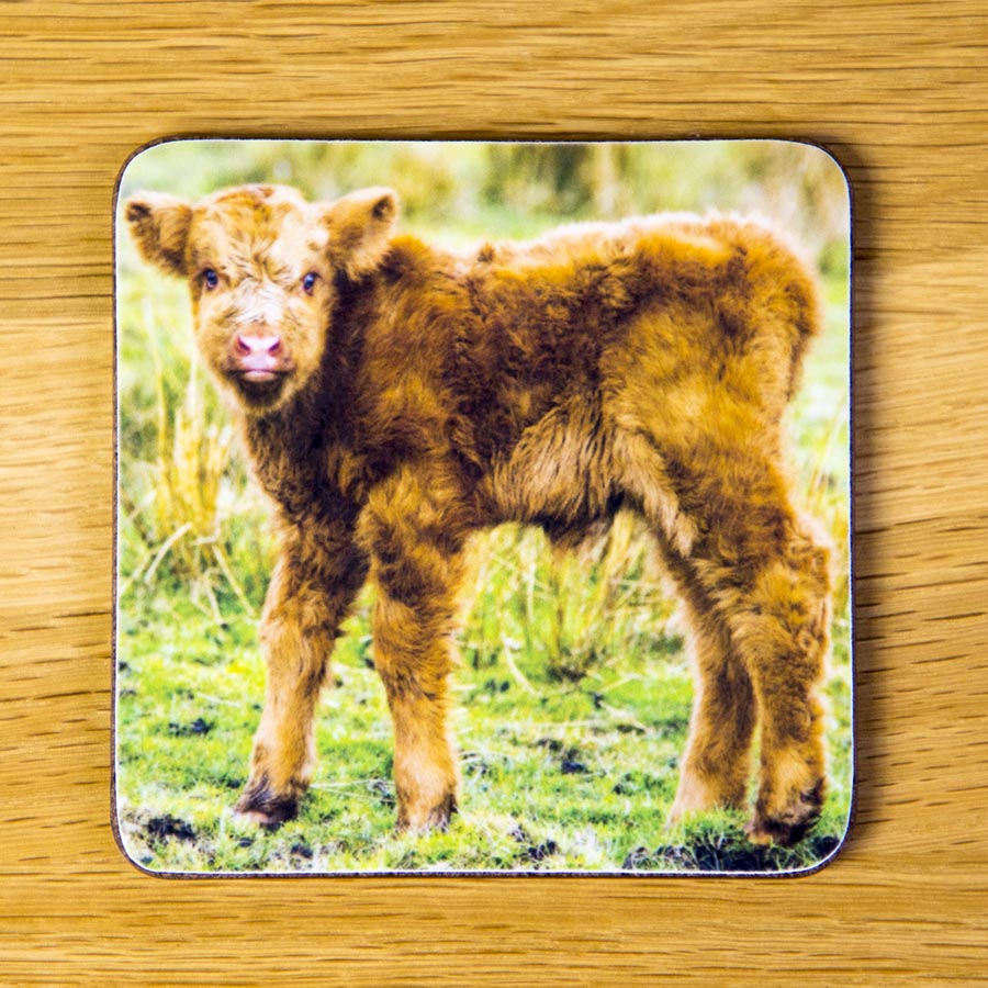 Highland Calf, Skinny, coaster