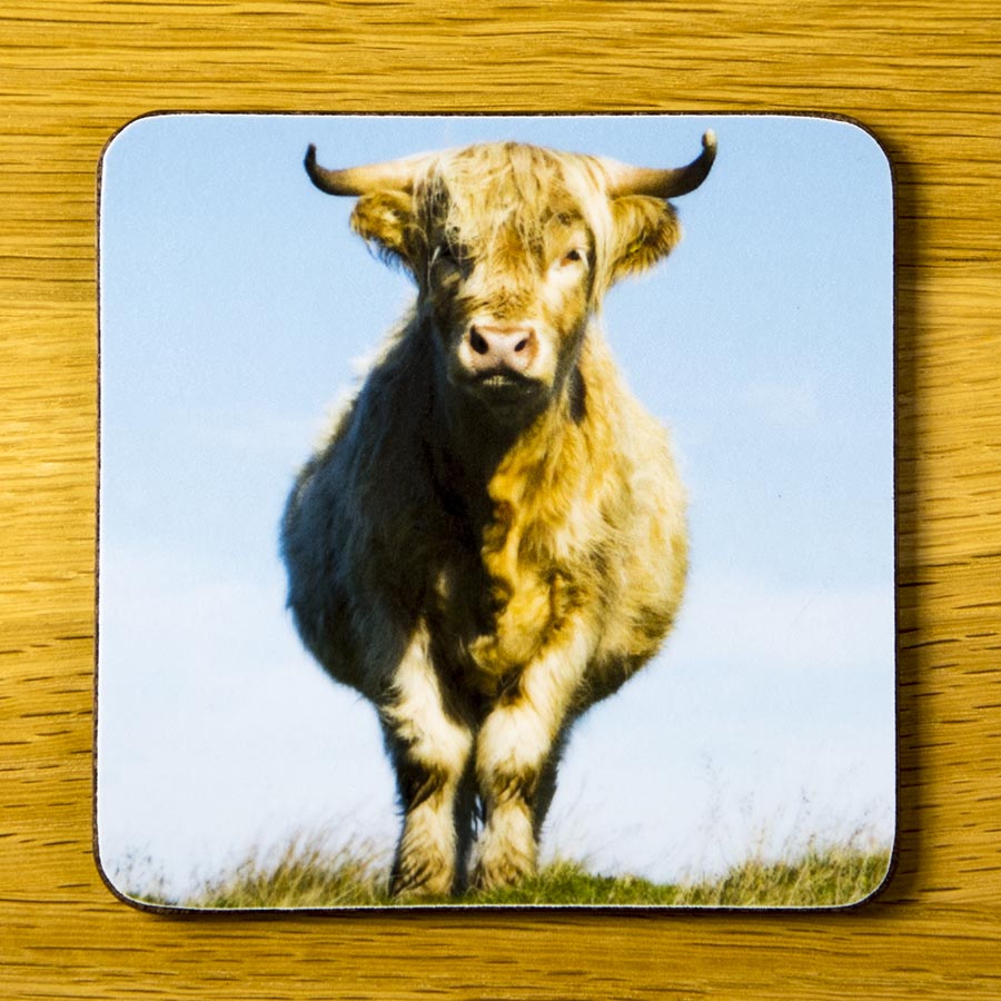 Blue Moo, coaster