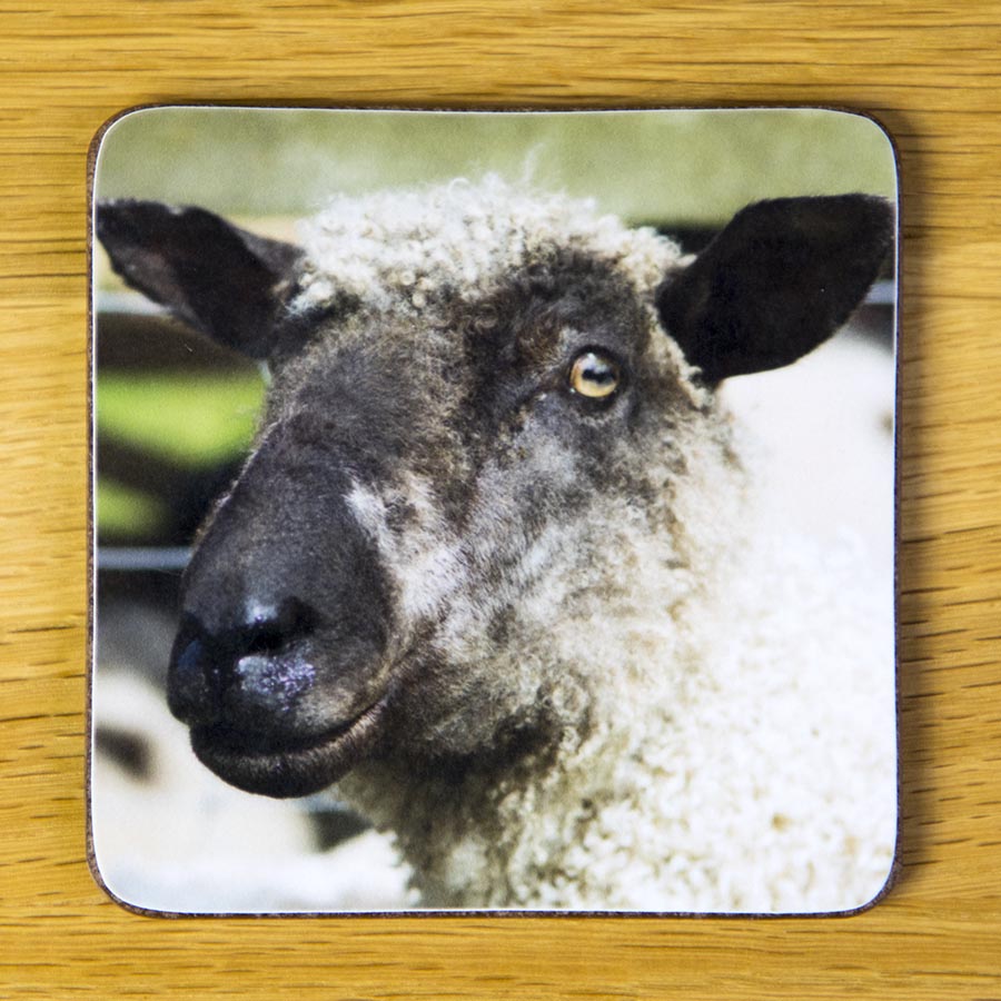 Mad Sheep, coaster