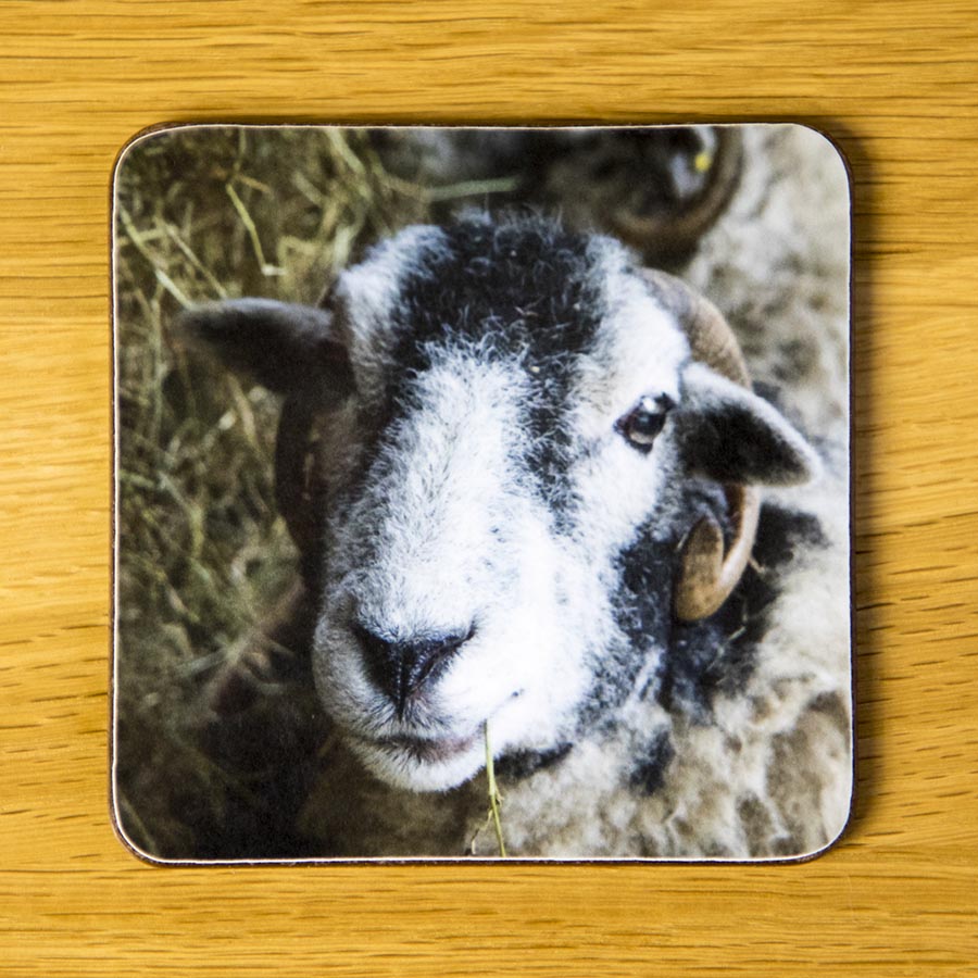 Om Nom Sheep, coaster