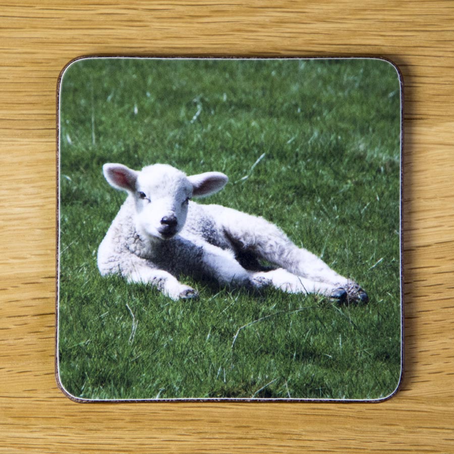 Reclining Lamb, coaster