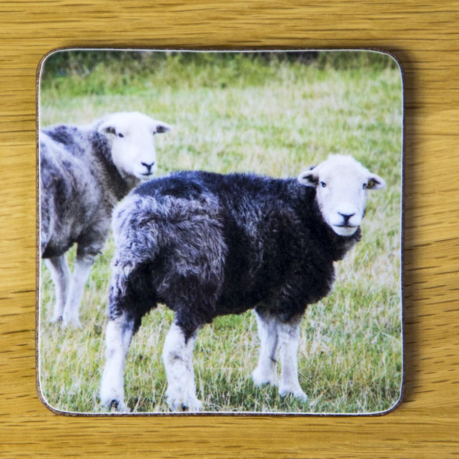 Two Herdies, drink coaster