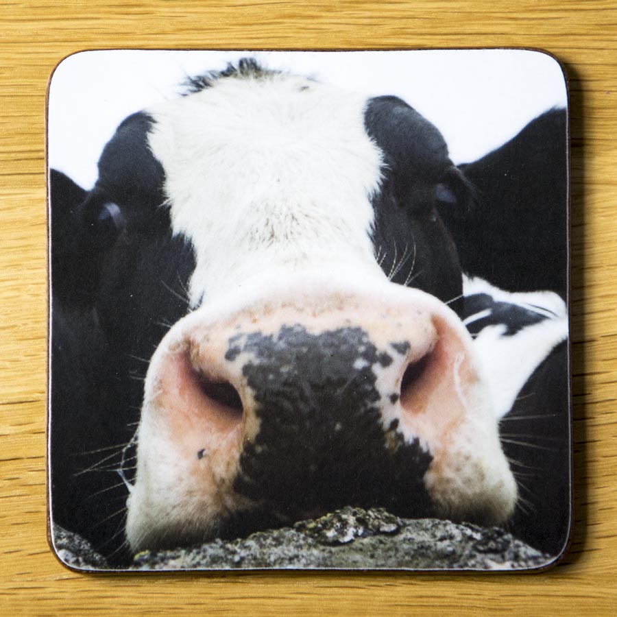 Nosin' Around, drink coaster