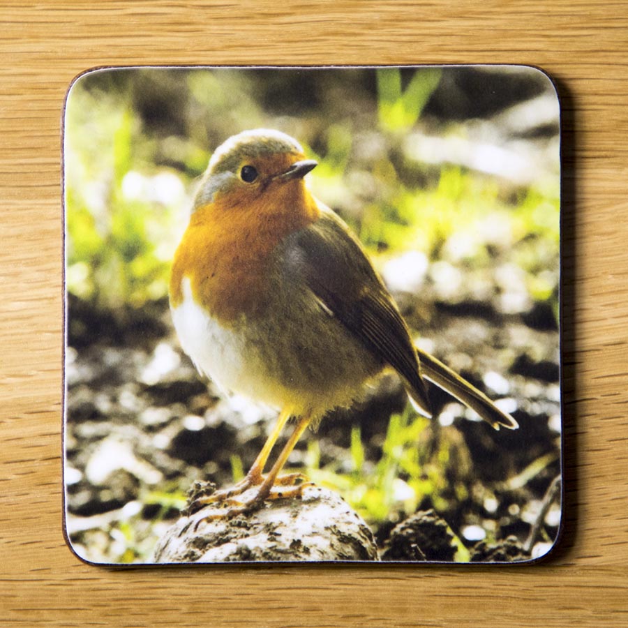 Robin, drink coaster