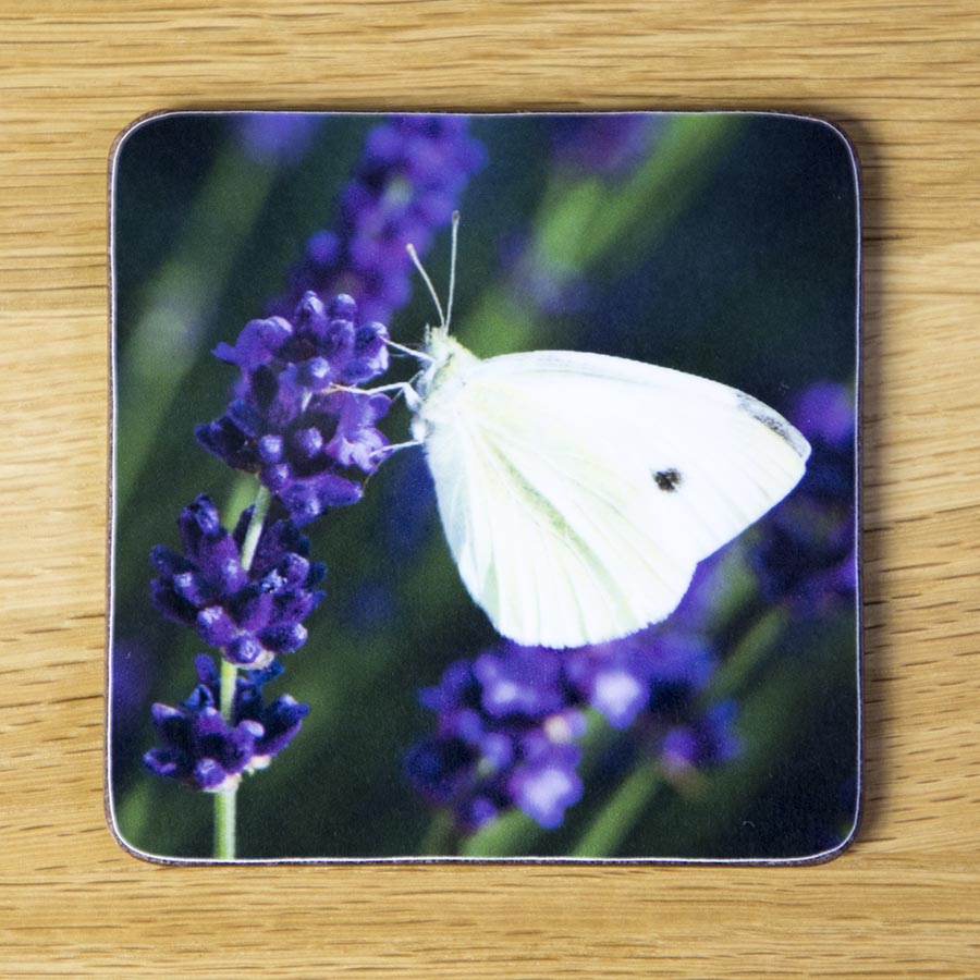 Butterfly on Lavender, drinks coaster