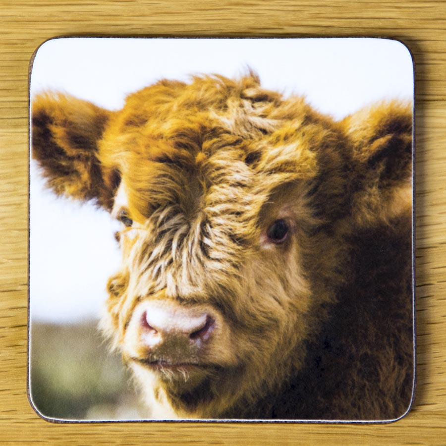 Calf Head, coaster