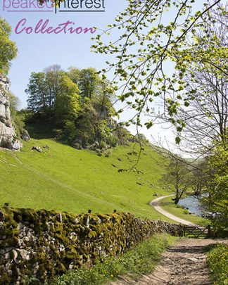 PC0024 A Path in Wolfscote Dale