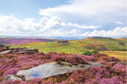 Peak District Calendar 2020