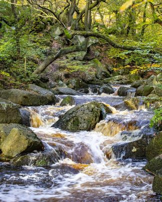 Burbage Brook in Padley Gorge as an A6 postcard